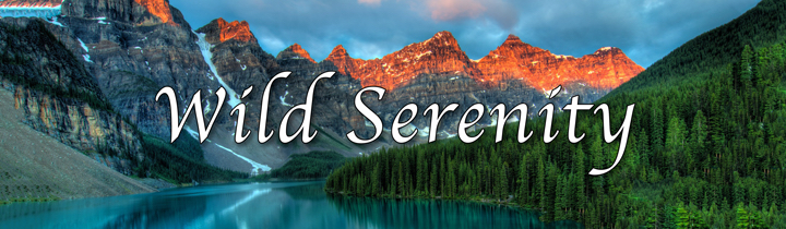 wild-serenity-cm-event-page-2